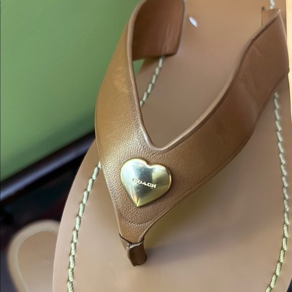 Coach Saddle Ellis LTR THNG - Picture 11 of 13